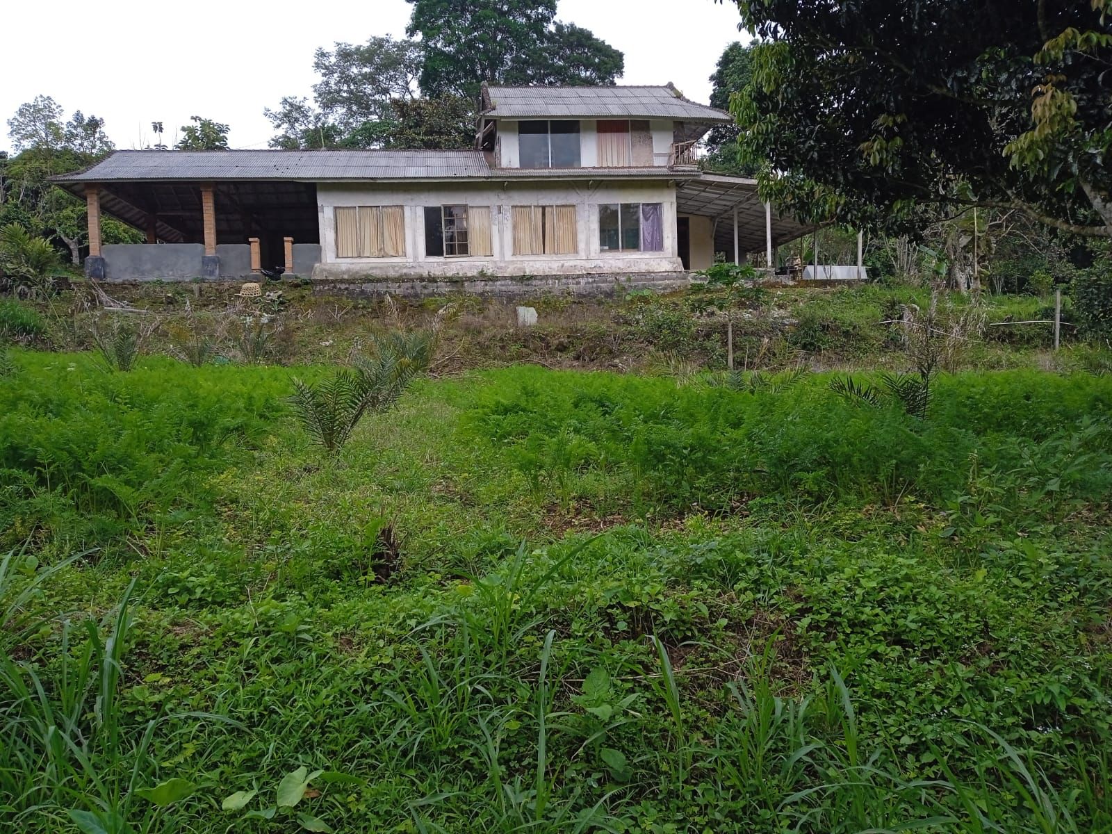 WhatsApp Image 2023-08-14 at 09.50.02