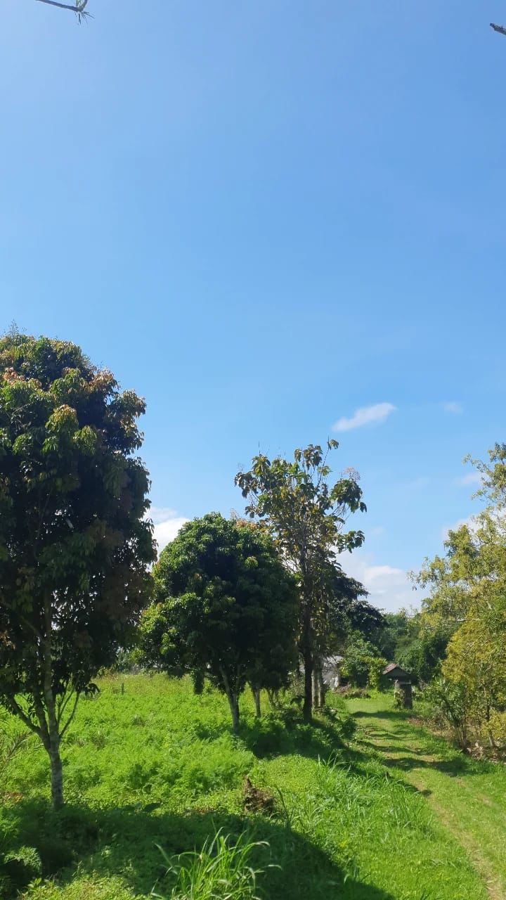 WhatsApp Image 2023-08-14 at 09.50.05 (1)