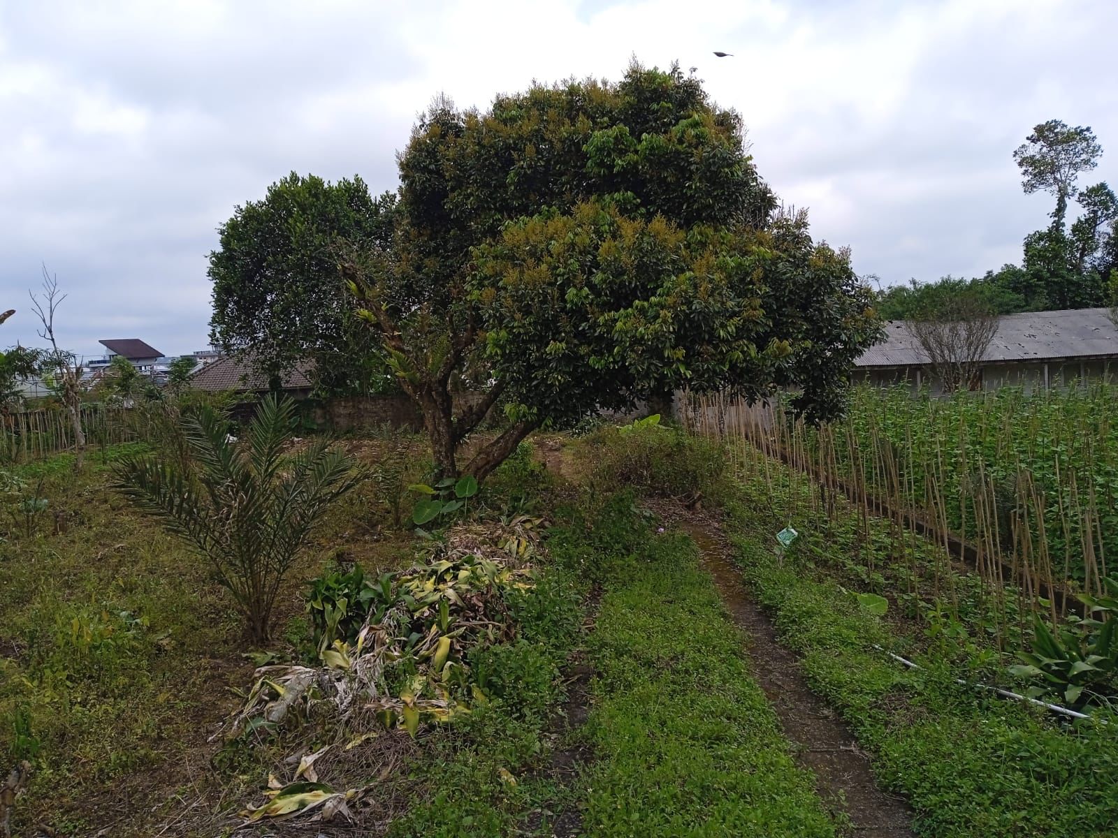 WhatsApp Image 2023-08-14 at 09.50.05