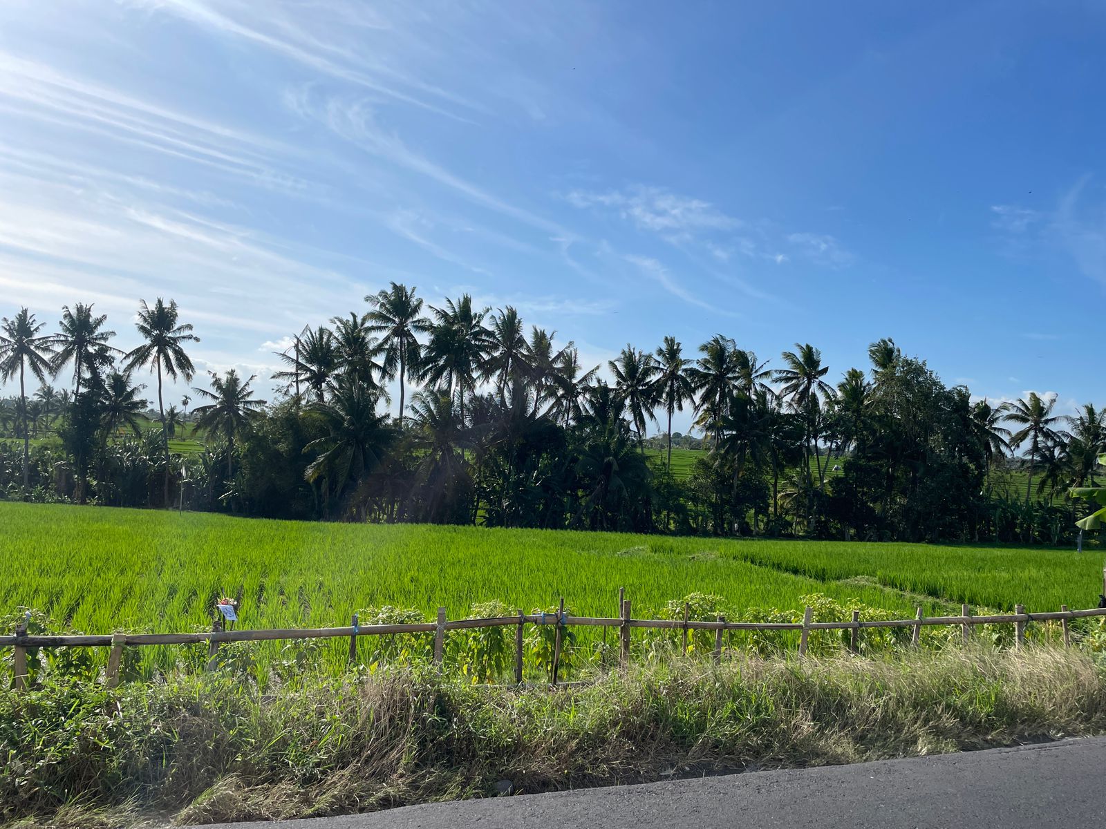 WhatsApp Image 2023-08-14 at 09.51.20