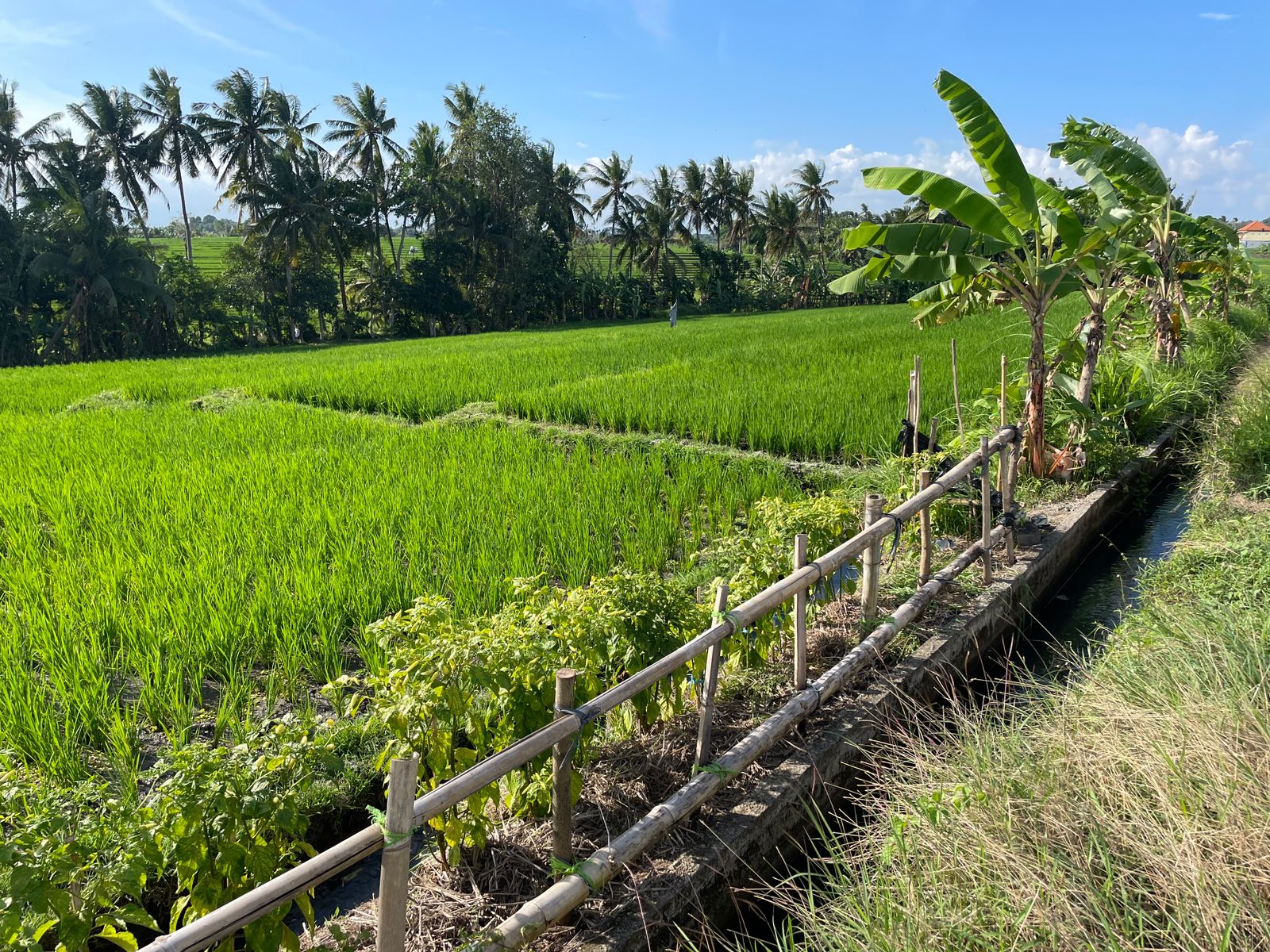 WhatsApp Image 2023-08-14 at 09.51.21 (1)