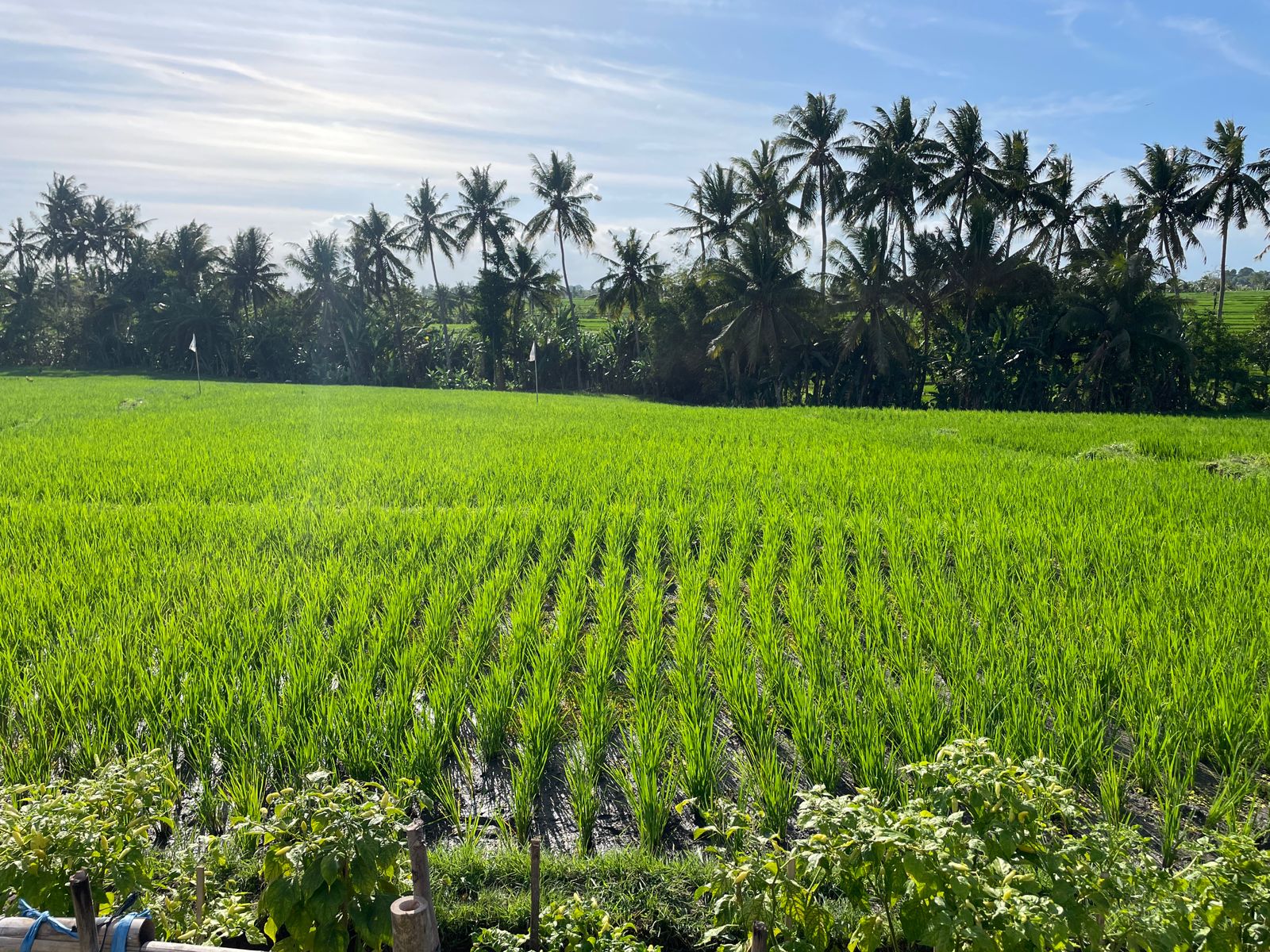 WhatsApp Image 2023-08-14 at 09.51.21 (2)