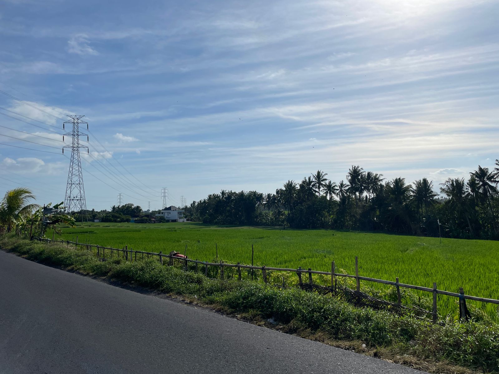 WhatsApp Image 2023-08-14 at 09.51.21