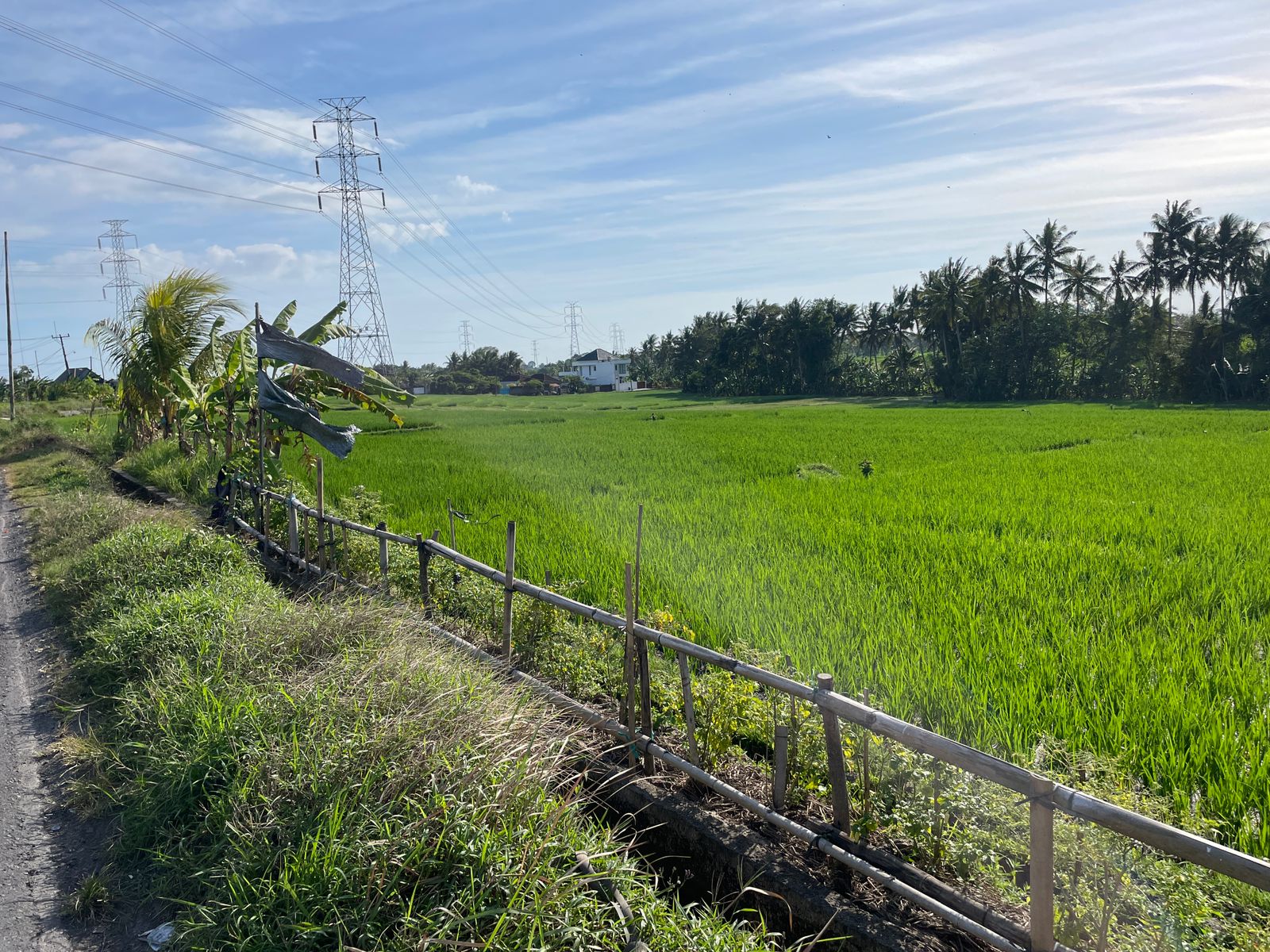 WhatsApp Image 2023-08-14 at 09.51.22 (2)