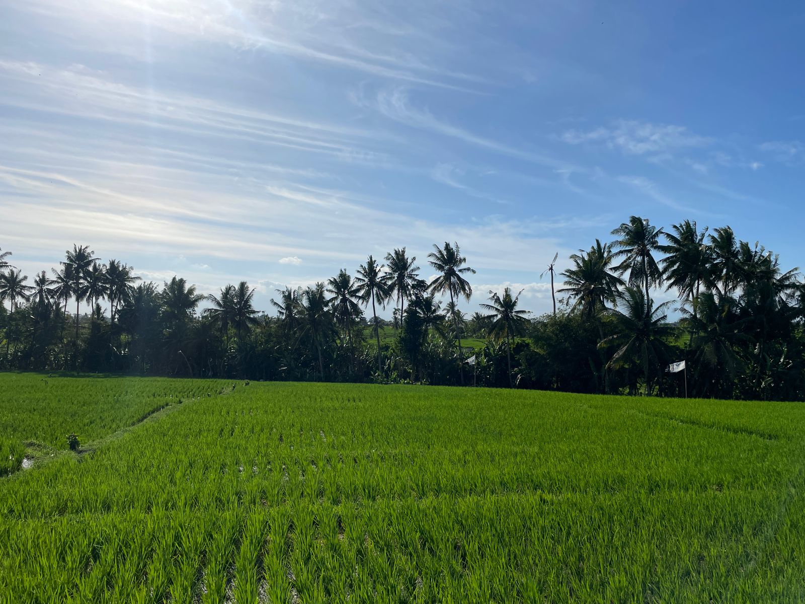 WhatsApp Image 2023-08-14 at 09.51.23 (1)