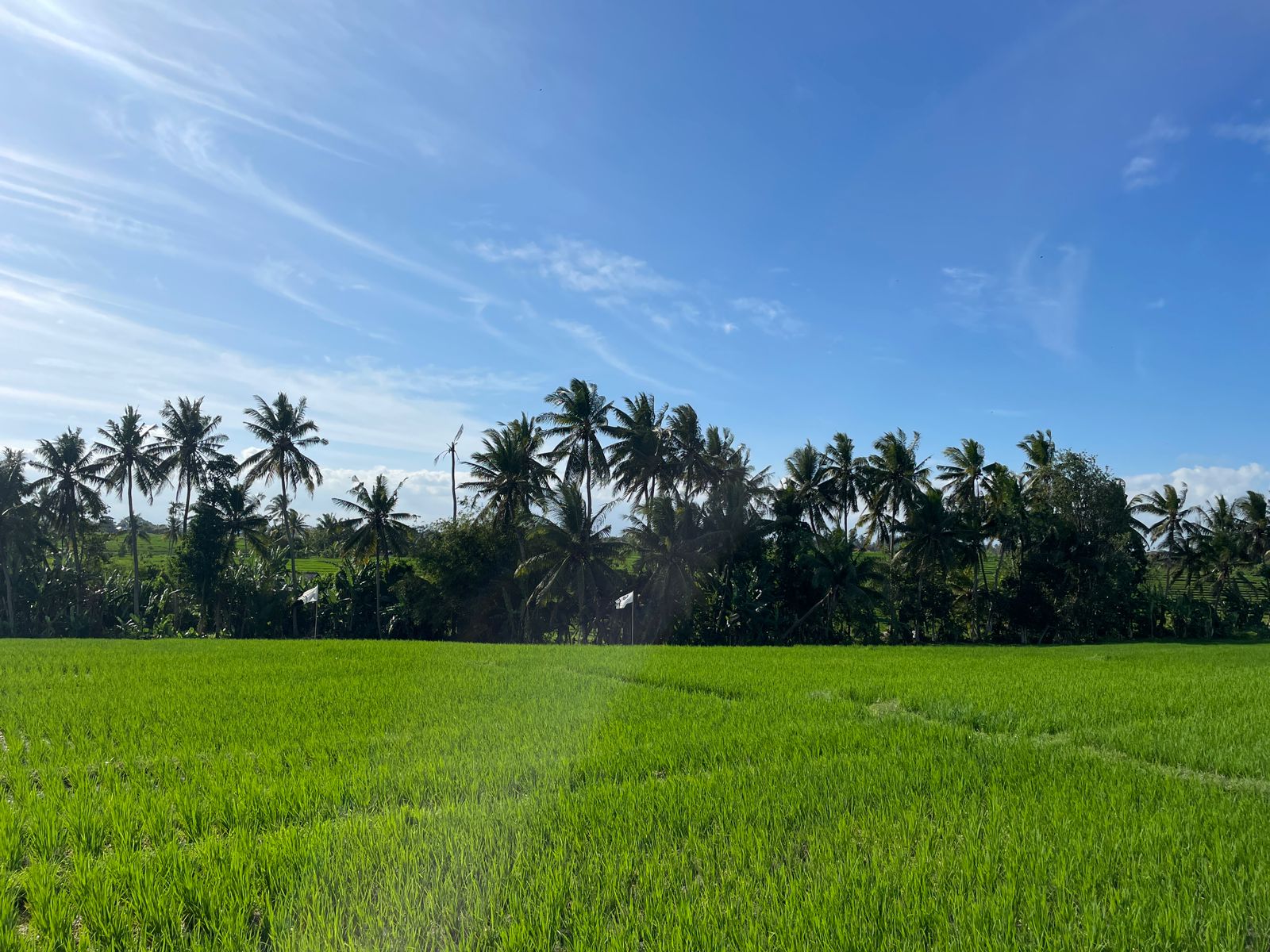 WhatsApp Image 2023-08-14 at 09.51.23 (2)