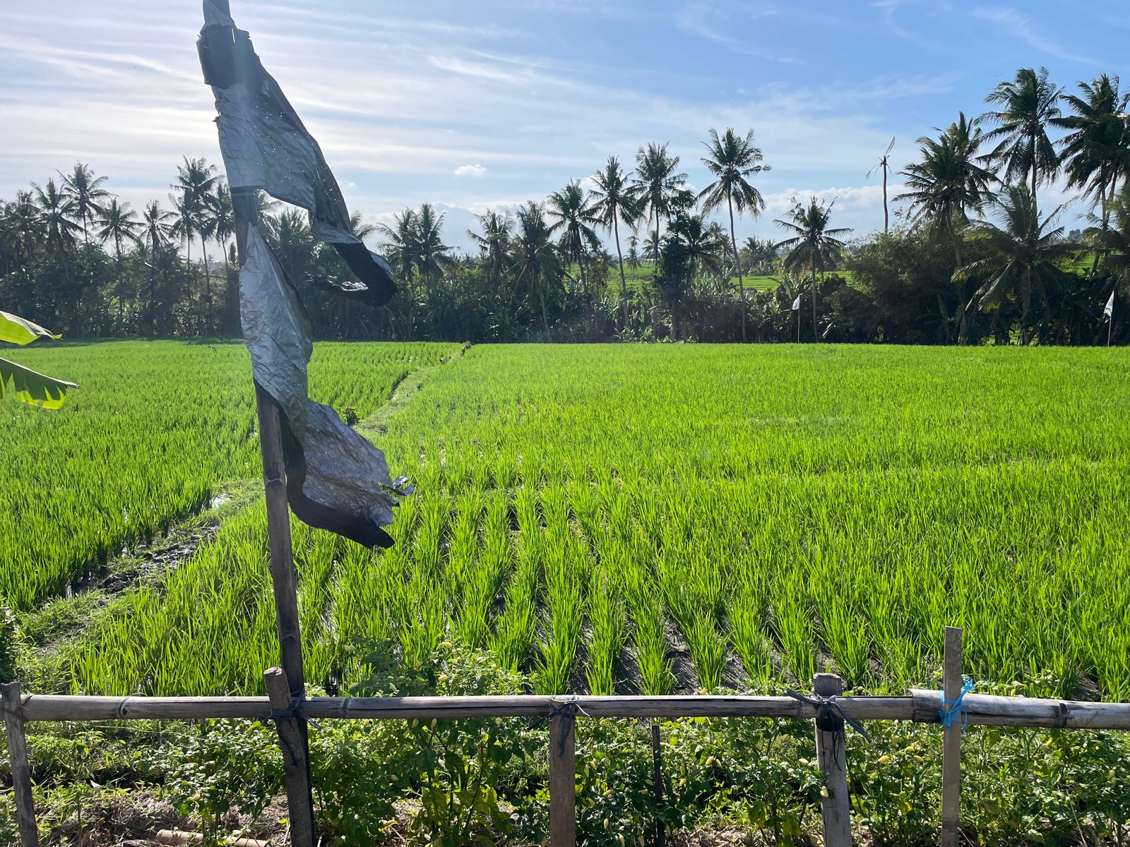 WhatsApp Image 2023-08-14 at 09.51.23