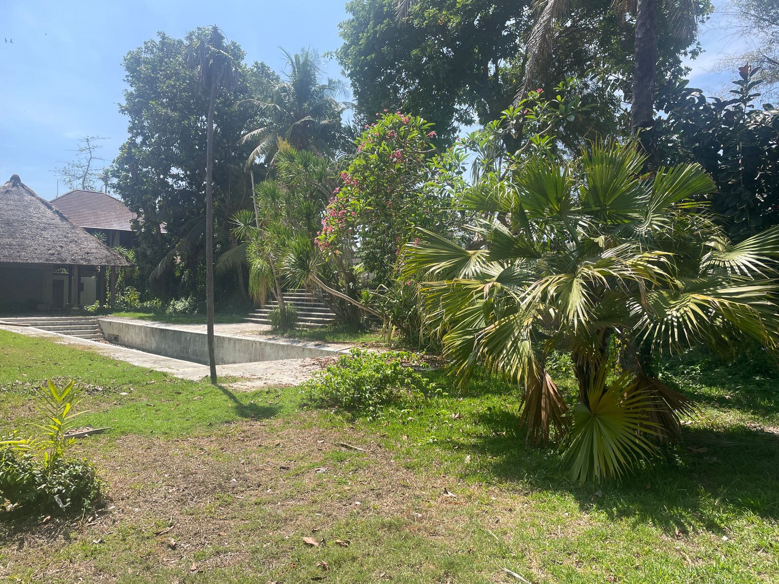 WhatsApp Image 2023-11-23 at 11.17.37