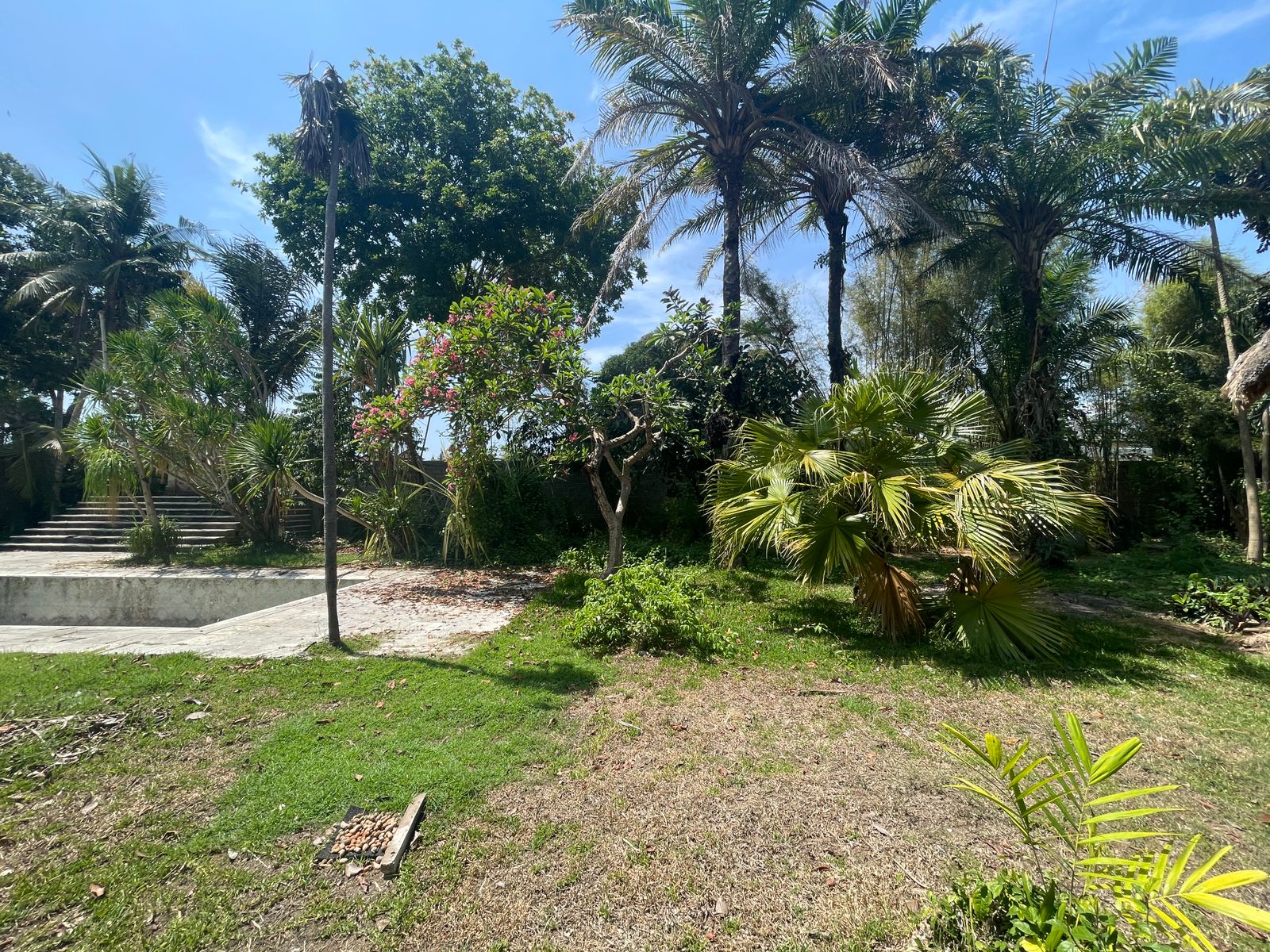 WhatsApp Image 2023-11-23 at 11.17.41 (1)