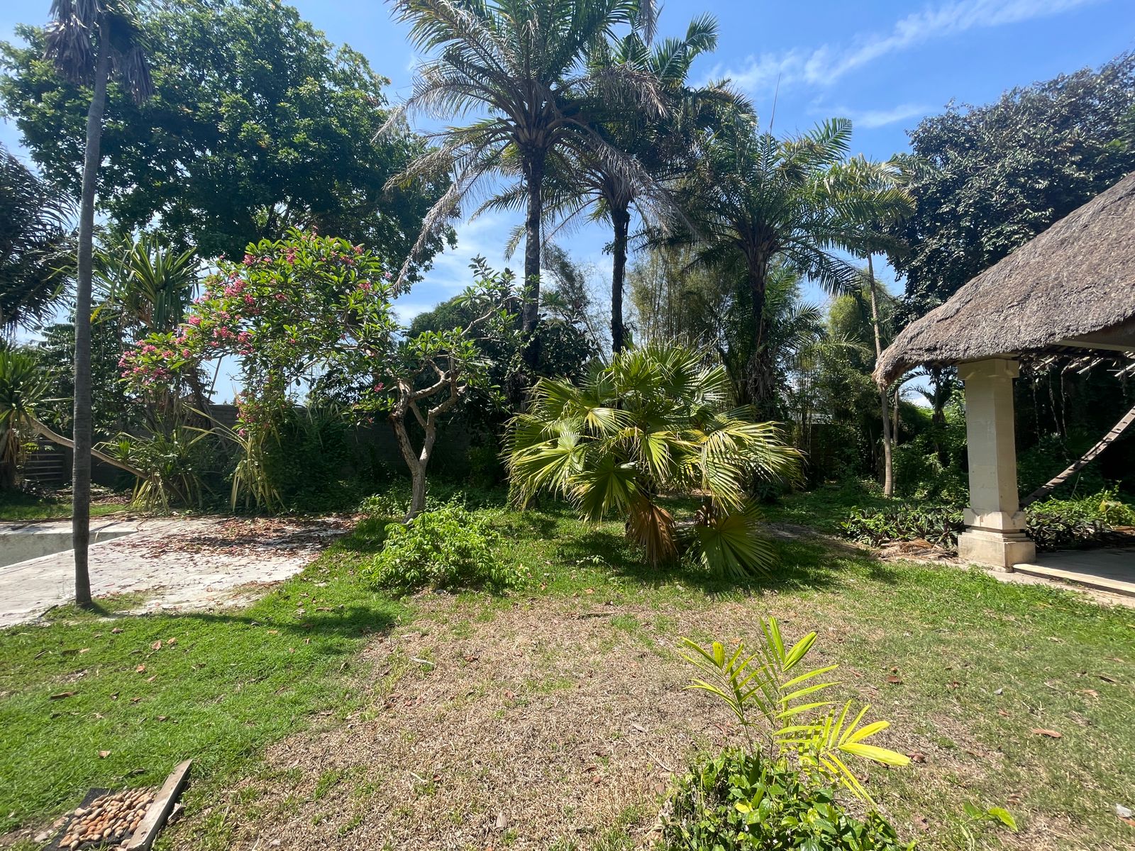 WhatsApp Image 2023-11-23 at 11.17.42