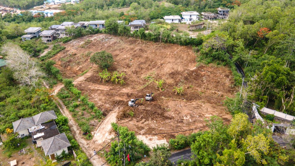 WhatsApp Image 2024-02-19 at 14.18.58