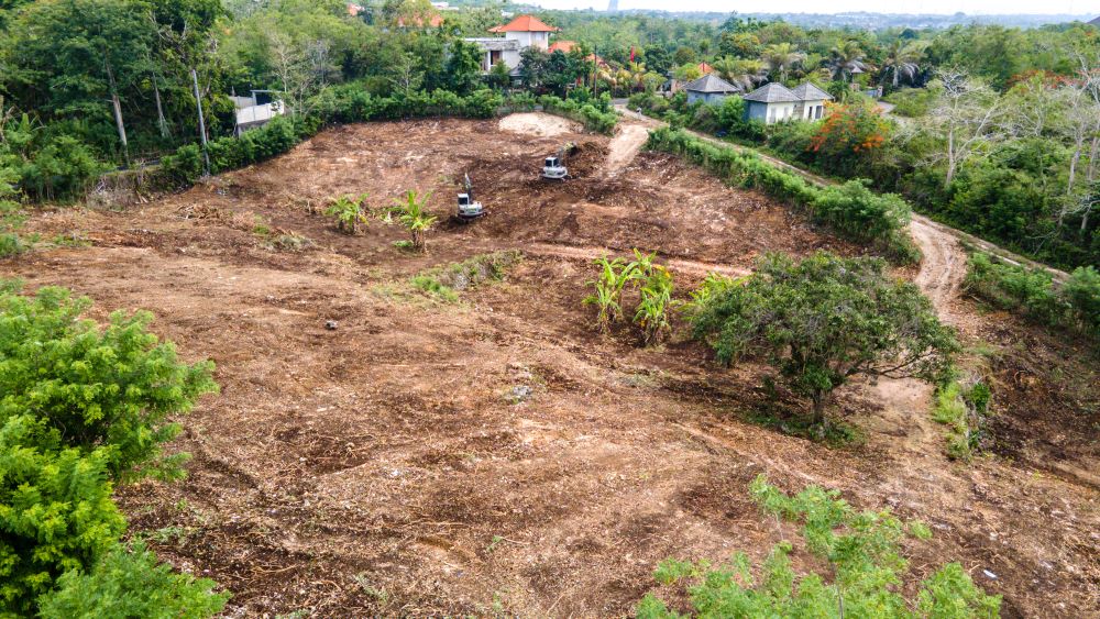 WhatsApp Image 2024-02-19 at 14.18.59