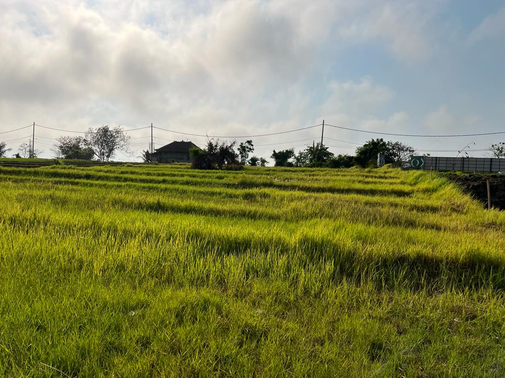 WhatsApp Image 2024-03-13 at 11.58.41