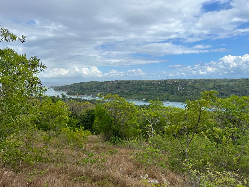 WhatsApp Image 2024-03-13 at 12.00.05 (4)