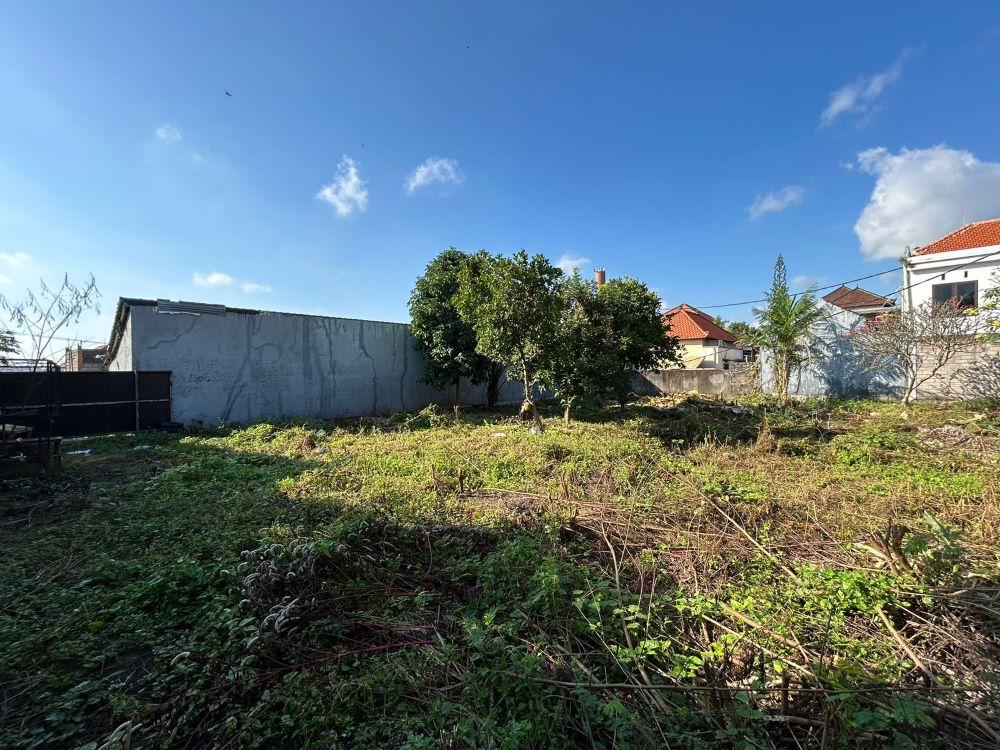 WhatsApp Image 2024-06-12 at 09.13.02