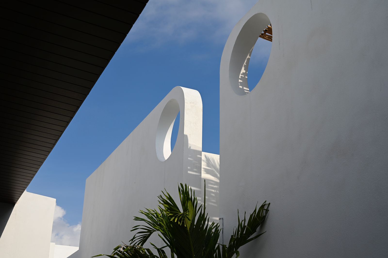 WhatsApp Image 2024-09-19 at 13.45.19