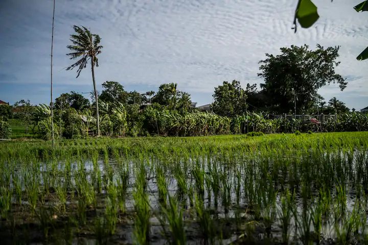 WhatsApp Image 2024-10-22 at 09.50.20 (12)