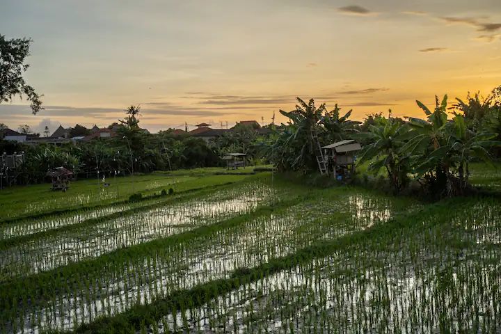 WhatsApp Image 2024-10-22 at 09.50.20