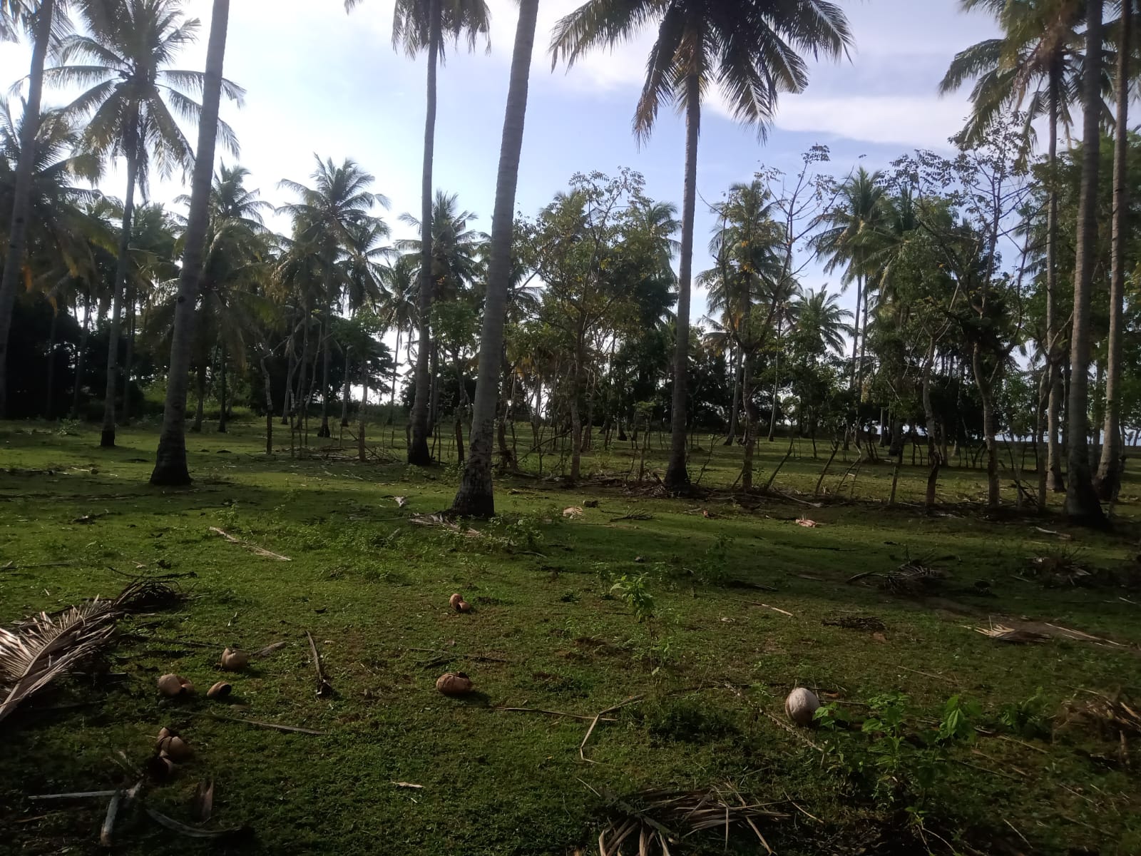 WhatsApp Image 2024-11-11 at 11.52.53 (1)