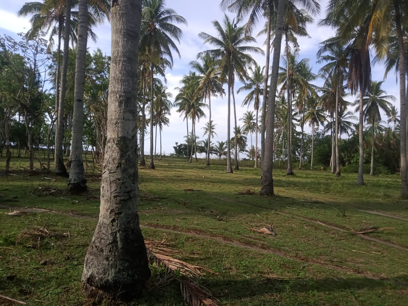 WhatsApp Image 2024-11-11 at 11.52.53