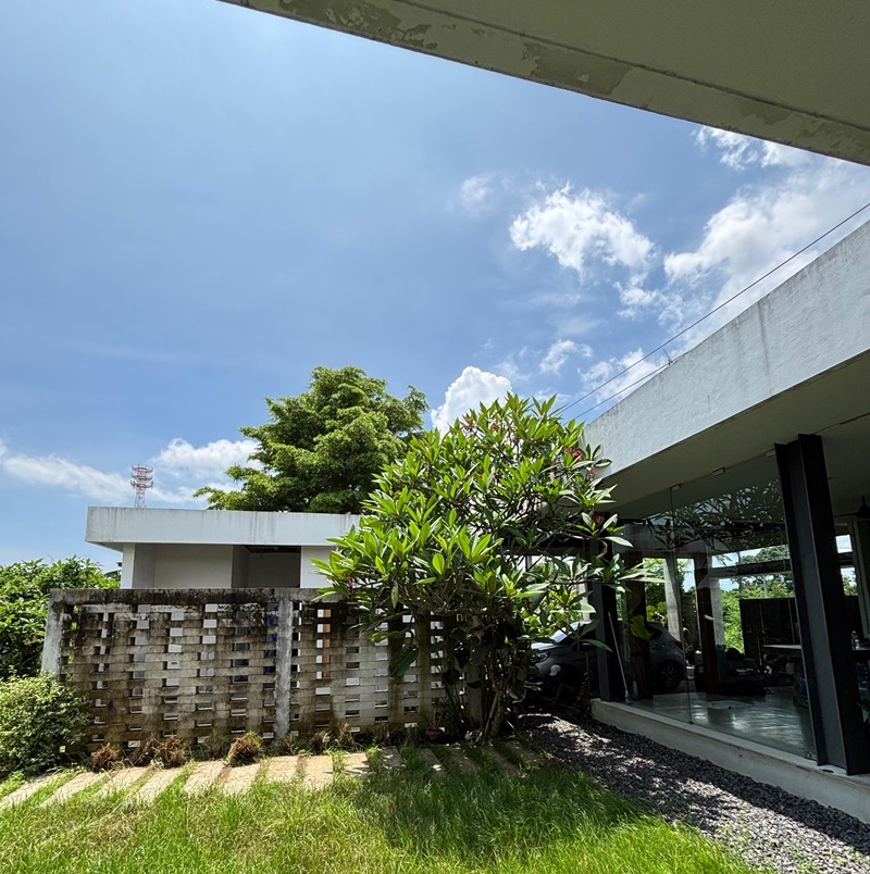 WhatsApp Image 2025-01-21 at 13.46.07 (3)