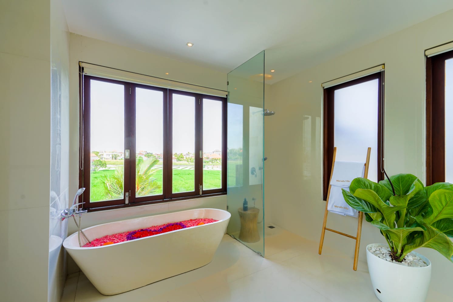 WhatsApp Image 2025-02-17 at 15.55.22 (1)