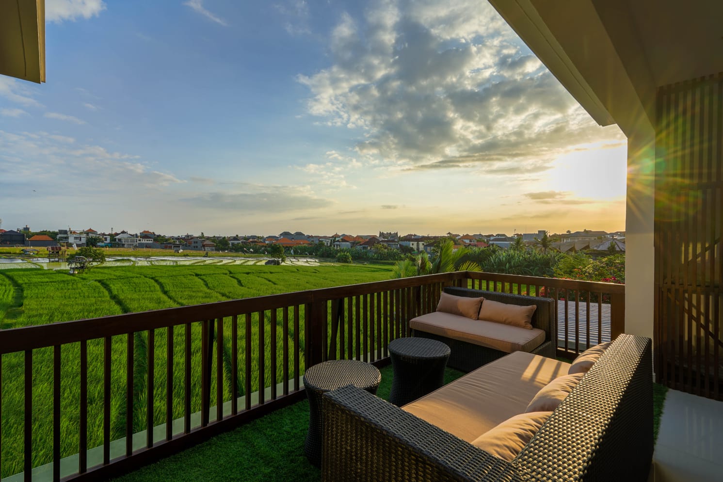 WhatsApp Image 2025-02-17 at 15.55.22