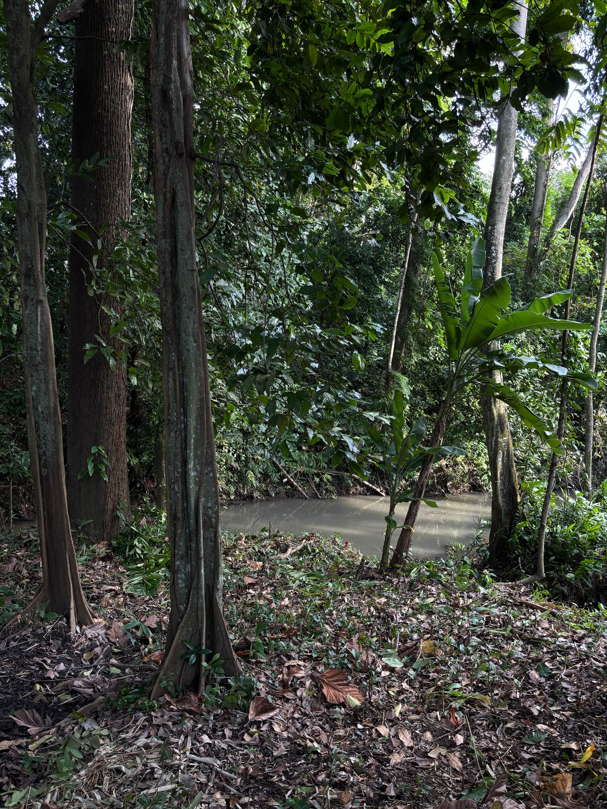 WhatsApp Image 2025-08-28 at 11.17.55 AM (1) (1)