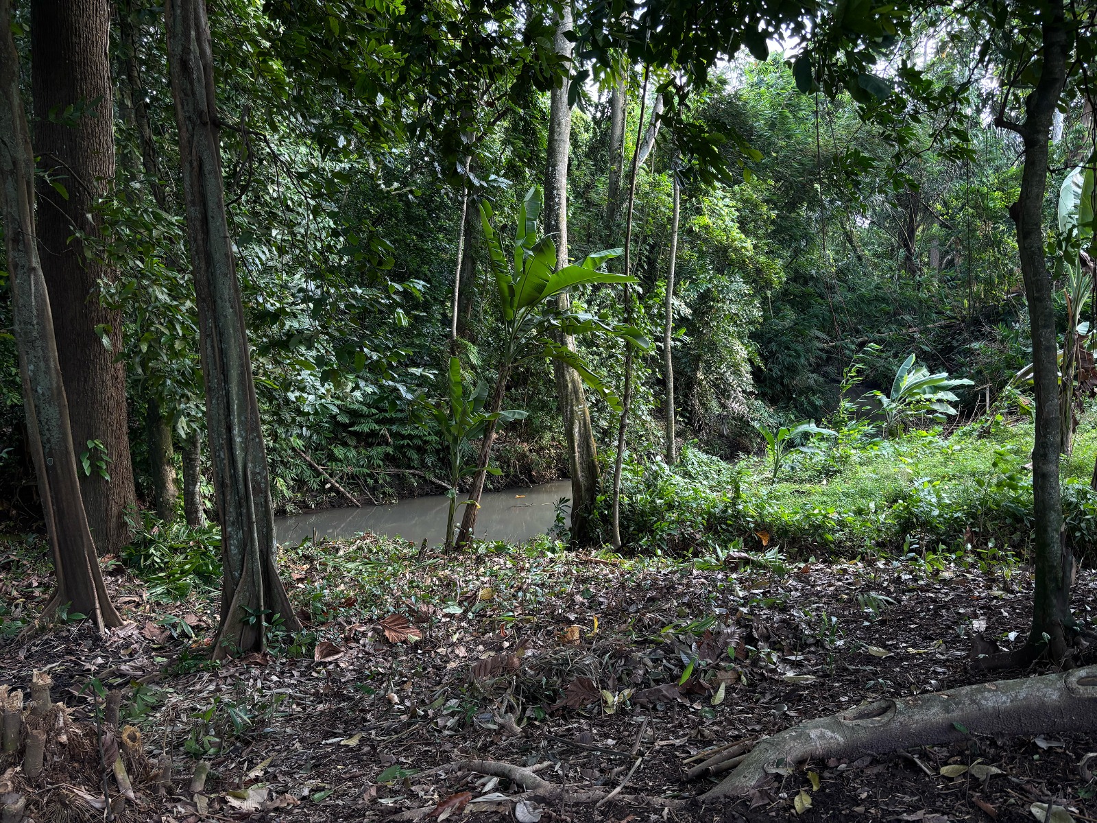 WhatsApp Image 2025-08-28 at 11.17.55 AM