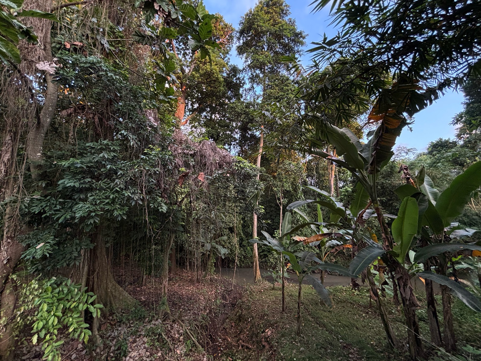 WhatsApp Image 2025-08-28 at 11.17.56 AM (1)